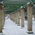 Image-square_50