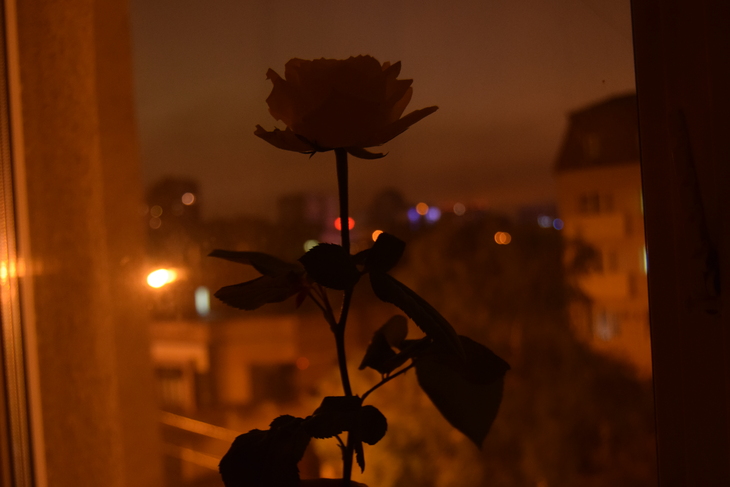 Image-normal