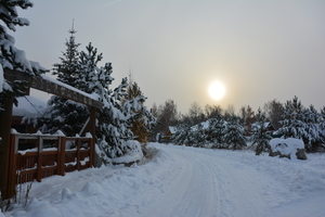 Image-preview_300x200