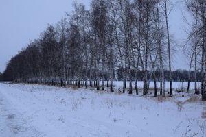Image-preview_300x200