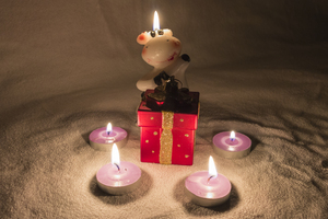 Image-preview_300x200