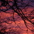 Image-square_50