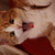 Image-square_50