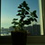 Image-square_50