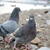 Image-square_50