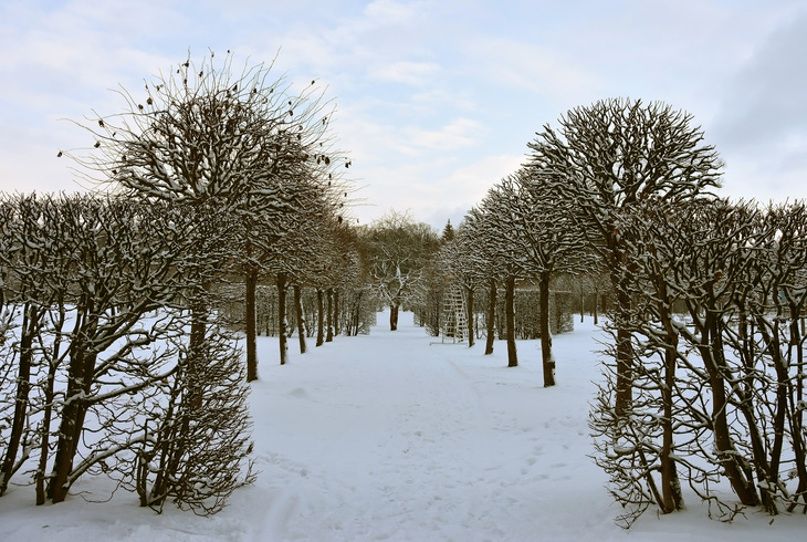 Image-normal