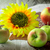 Image-square_50