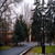 Image-square_50