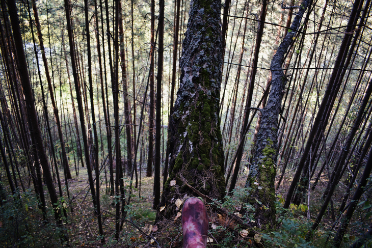 Image-normal