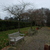 Image-square_50