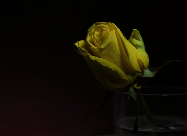 Image-normal