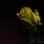 Image-square_50
