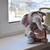 Image-square_50