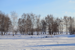 Image-preview_300x200