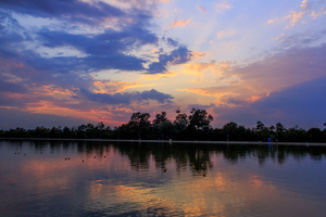 Image-preview_300x200