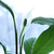Image-square_50