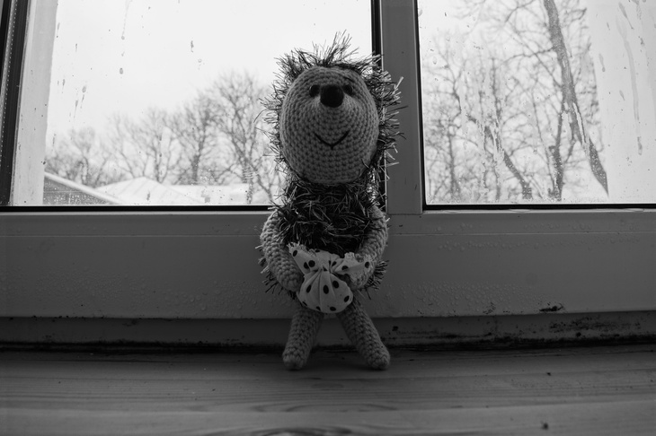 Image-normal