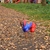 Image-square_50