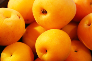 Image-preview_300x200