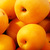 Image-square_50