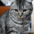 Image-square_50
