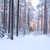 Image-square_50