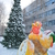 Image-square_50