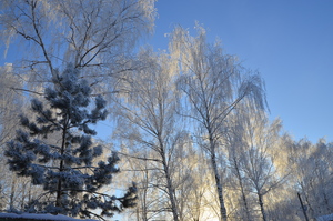 Image-preview_300x200