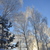 Image-square_50