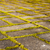Image-square_50