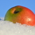 Image-square_50