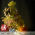 Image-square_50
