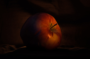 Image-preview_300x200