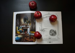 Image-preview_300x200