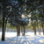 Image-square_50