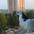 Image-square_50
