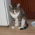 Image-square_50
