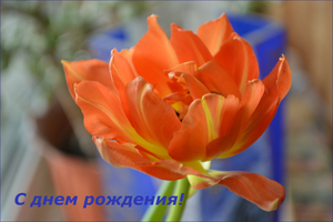 Image-preview_300x200