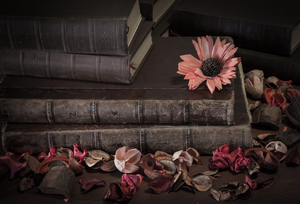 Image-preview_300x200