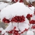 Image-square_50