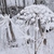 Image-square_50