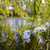 Image-square_50