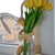 Image-square_50
