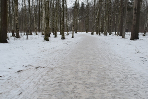 Image-preview_300x200