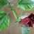 Image-square_50
