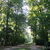 Image-square_50