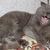 Image-square_50