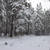 Image-square_50