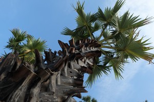 Image-preview_300x200