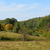 Image-square_50
